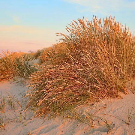 Strandly 3* Skagen